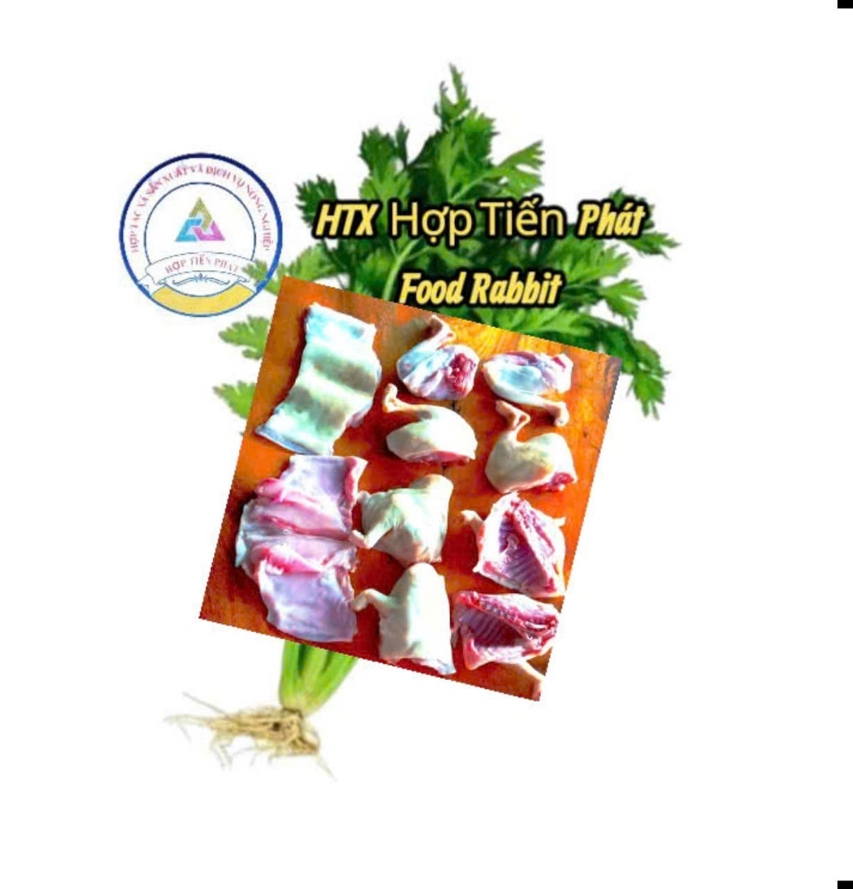 Ảnh 1